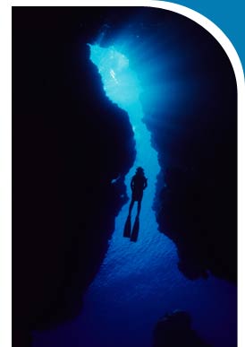 Diving and Sunshine Coast Accommodations