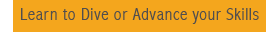 Learn to Dive or Advance your Skills